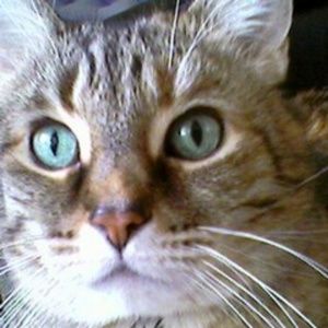 Meet your Posher, Keith